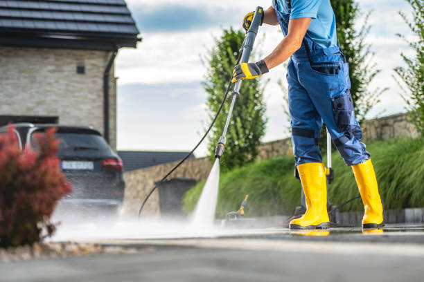 Animal Enclosure Cleaning in Woodstock, IL